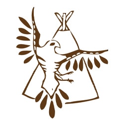 Native American Organization in Canada - Thunderbird Friendship Centre
